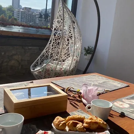 Studio Spring * 大特尔诺沃